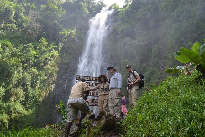 Mount Kilimanjaro day trip trekking - Key points to know before booking