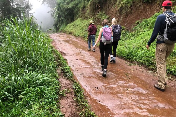 Mount Kilimanjaro day trip trekking - Why this makes a good Kilimanjaro-area day trip