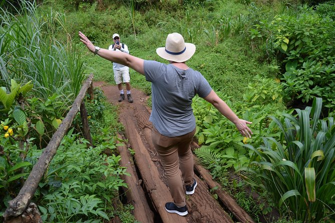 Mount Kilimanjaro day trip trekking - Cooling off at Kikuletwa Hot Springs