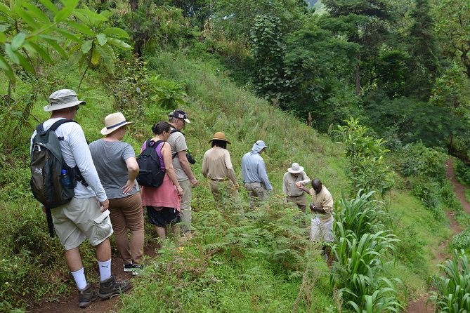 Mount Kilimanjaro day trip trekking - Guides and the quality of the day