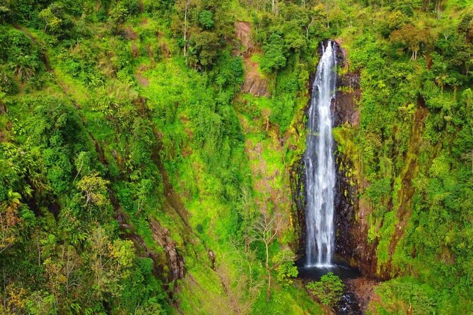 Mount Kilimanjaro day trip trekking - How hard is the day?
