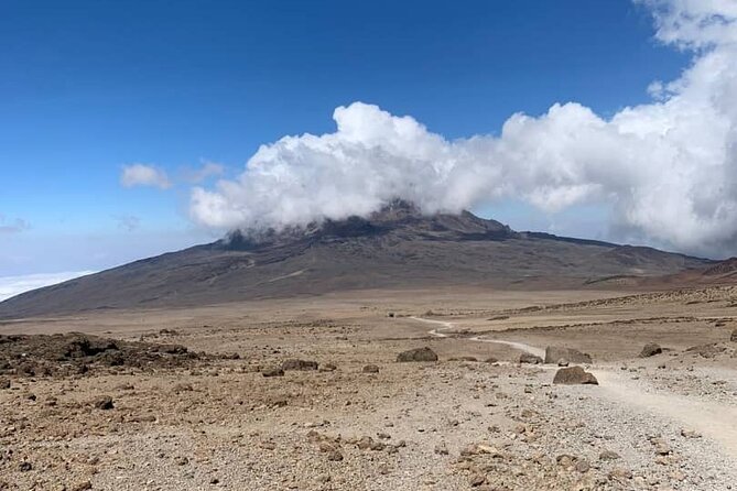 Mount Kilimanjaro - Lemosho Route - Day 6: Uhuru Peak and the Long Descent