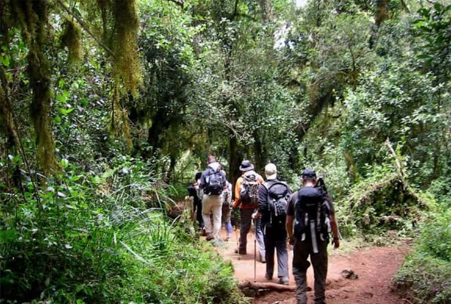 Mount Kilimanjaro National Park Day Trip - Key points to know before booking