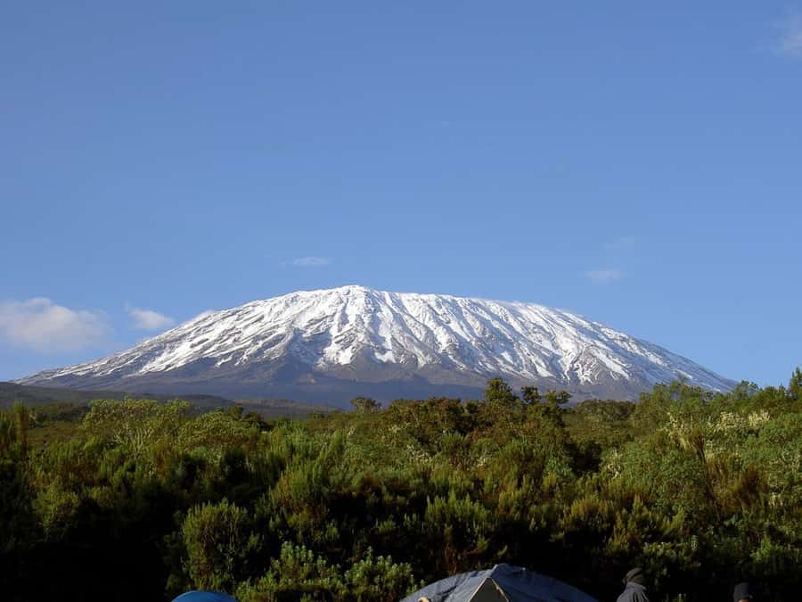 Mount Kilimanjaro National Park Day Trip - Marangu Gate and the first steps into the park