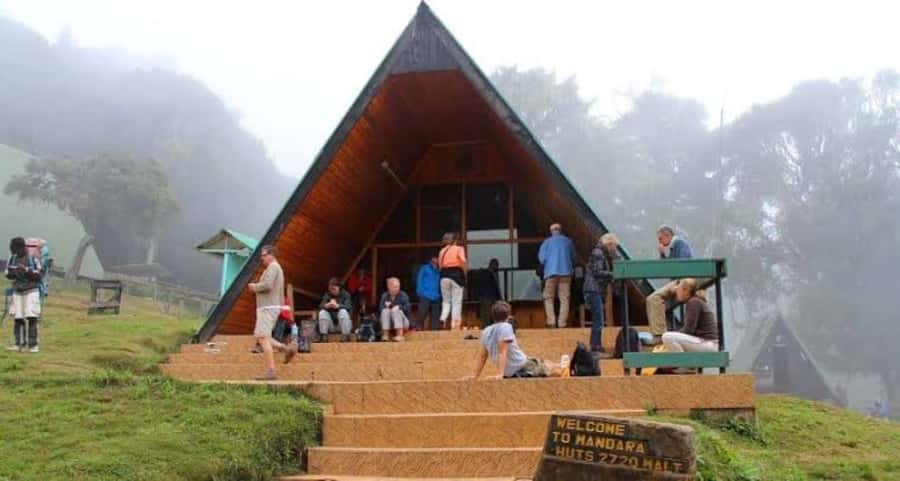 Mount Kilimanjaro National Park Day Trip - The drive to Marangu Gate