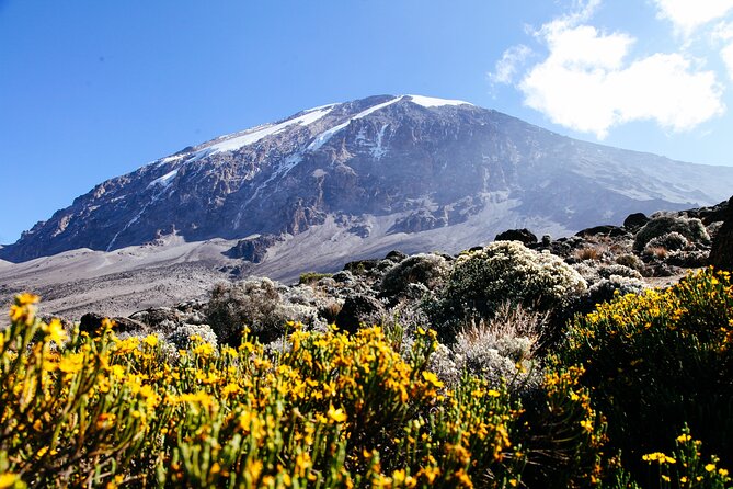 Mount Kilimanjaro Rongai Route - Is $2,700 a fair price?