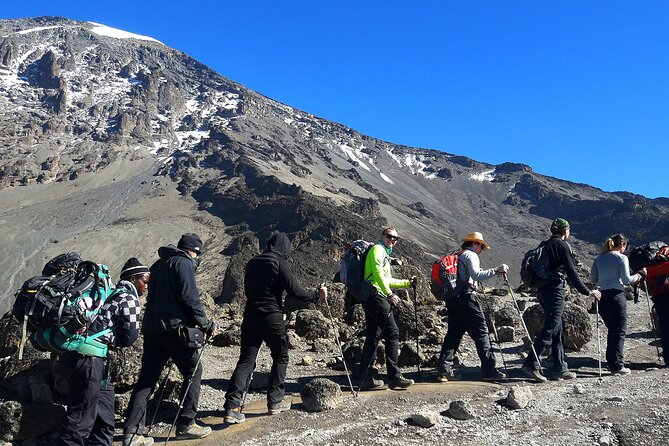 Mount Kilimanjaro Rongai Route - Seven days from pine forest to the summit