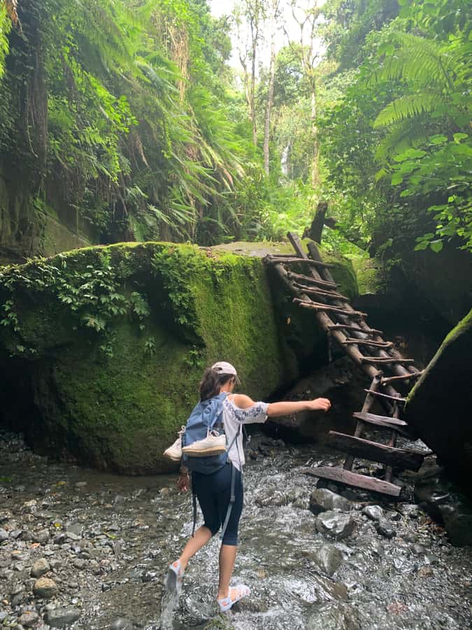 Mount Meru Arusha: Napuru Waterfall Hike by Kingstone Asilia - Napuru Waterfall hike: key points