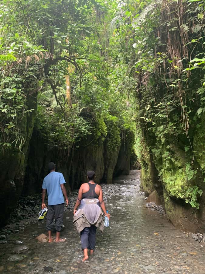 Mount Meru Arusha: Napuru Waterfall Hike by Kingstone Asilia - Three hours beside the river