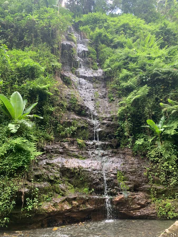 Mount Meru Arusha: Napuru Waterfall Hike by Kingstone Asilia - What to pack for Napuru Waterfalls