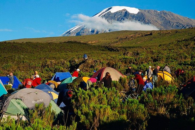 Mountain Kilimanjaro Climbing 7 Days Machame Route - Key points to know before booking