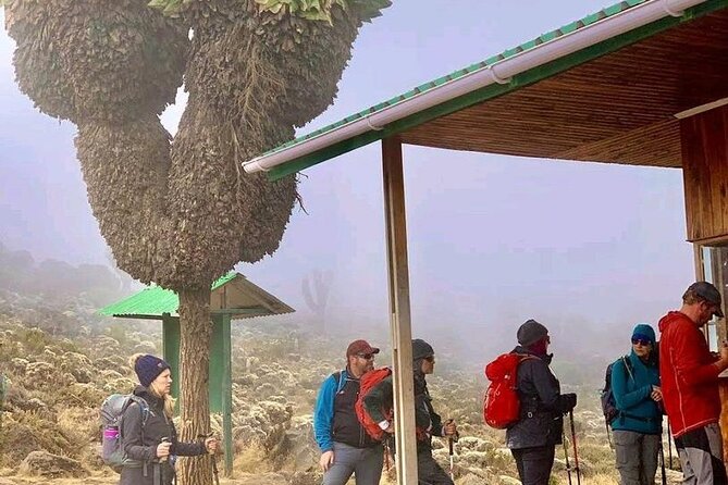 Mountain Kilimanjaro Climbing 7 Days Machame Route - Why the seven-day Machame Route works