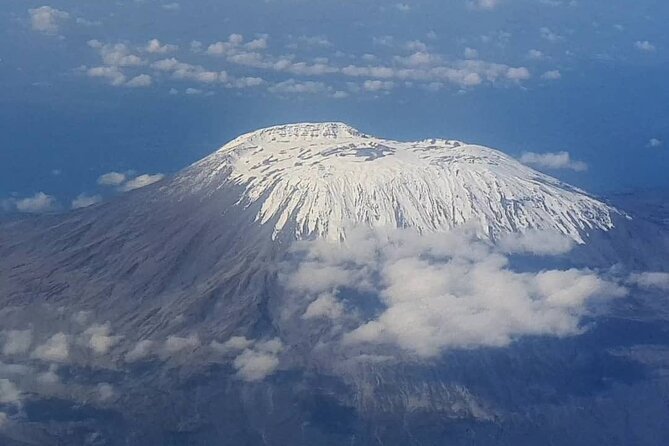 Mountain Kilimanjaro Climbing 8 Days Lemosho Route - Day 2: Open moorland and the first Shira views
