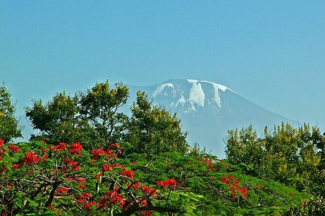 Mountain Kilimanjaro Climbing 8 Days Lemosho Route - Day 3: Shira Plateau and a useful acclimatization walk
