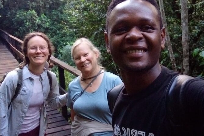 Mountain Kilimanjaro Day Hike - The rainforest trail toward Mandara Hut