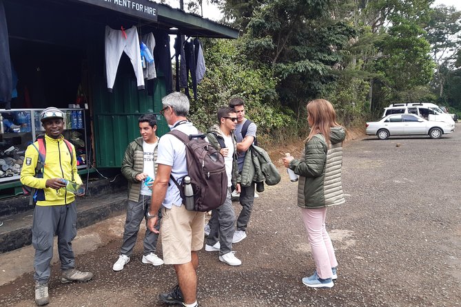 Mountain Kilimanjaro Day Hike - The descent and return to your hotel