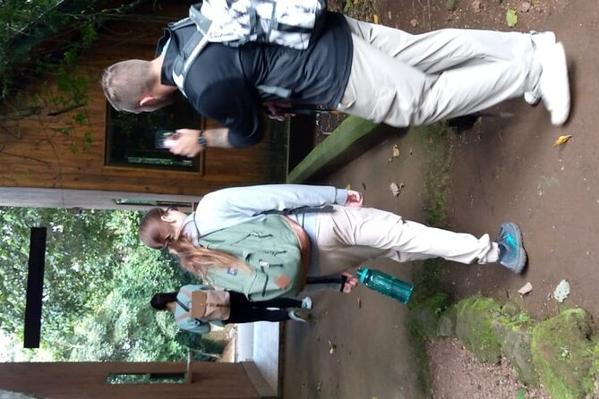 Mountain Kilimanjaro Day Hike - What the $267 price really buys you
