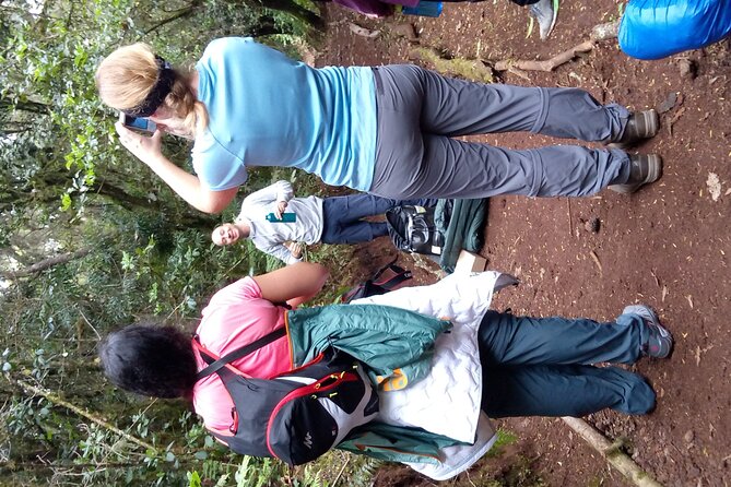 Mountain Kilimanjaro Day Hike - Registration at Marangu Gate