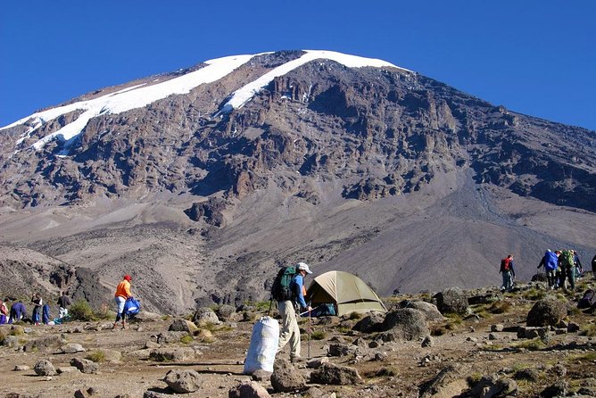 Mt Kilimanjaro 360° Trek with Once-in-a-Lifetime Crater Camping - School Hut and the long summit night