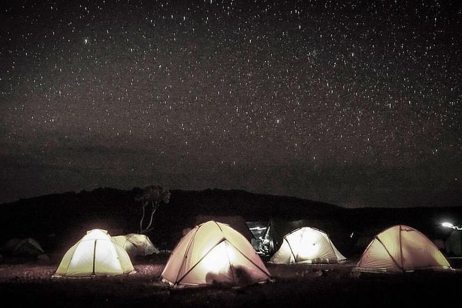 Mt Kilimanjaro 6 days Marangu route hike - Day 6: A muddy forest descent and the ride back