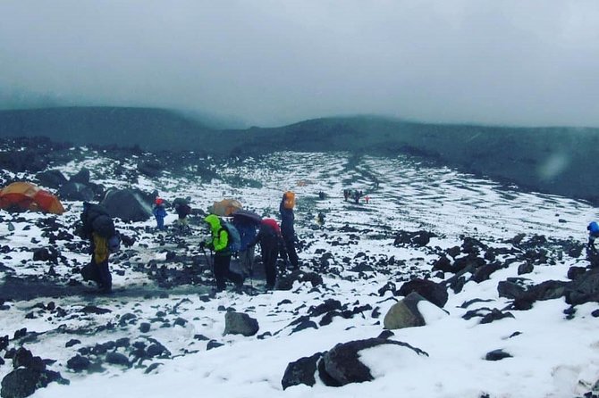 Mt Kilimanjaro 6 days Marangu route hike - Guides, pacing, and the feel of the service