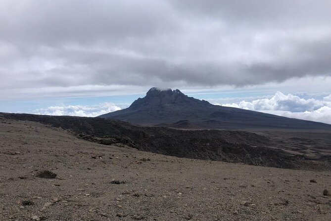 Mt Kilimanjaro Climb - 6 days Marangu - Day 2: Moorland and giant plants at Horombo