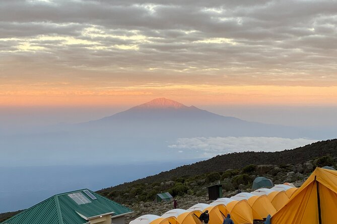 Mt. Kilimanjaro Climb - 8 Day Lemosho Route - Day 4: Lava Tower and the Senecio Forest