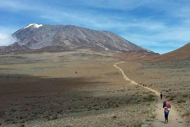 Mt Kilimanjaro Climb - 8 days Lemosho - Day two: Big Tree Camp to Shira Camp 1