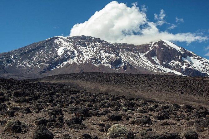 Mt Kilimanjaro Climbing; 6 Days Machame route - Day 1: Machame Gate to rainforest camp