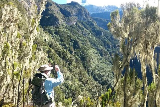 Mt Kilimanjaro Day Hike - From Moshi to Marangu Gate