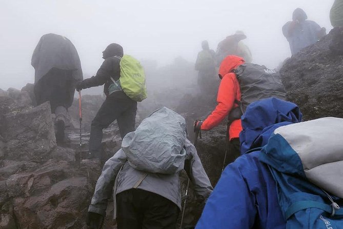 Mt. Kilimanjaro Day Hiking - Key points at a glance