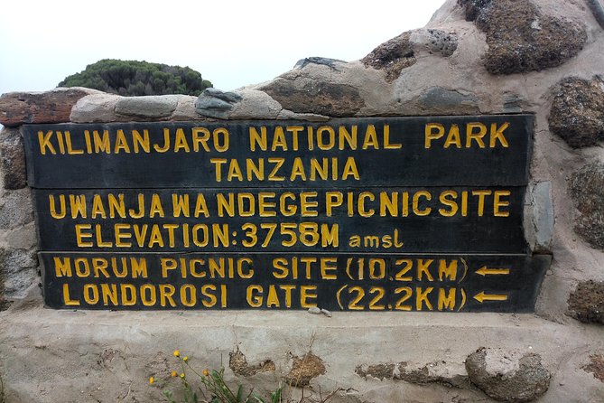 Mt. Kilimanjaro Day Hiking - Reaching Marangu Gate