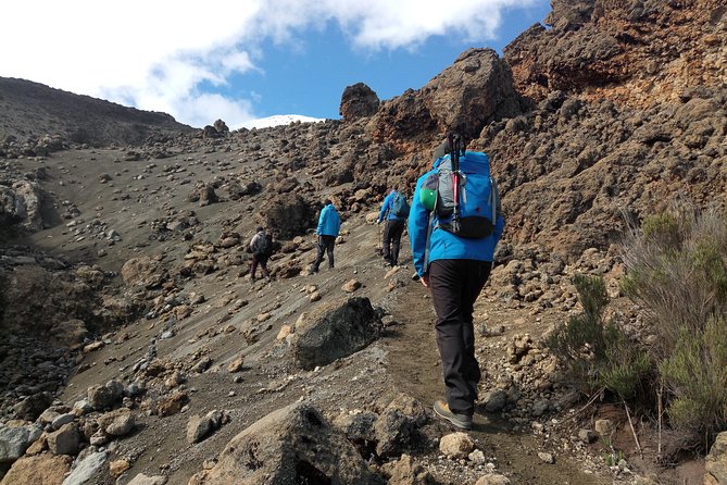 Mt. Kilimanjaro Day Hiking - Descending the Marangu trail