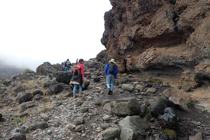 Mt. Kilimanjaro Day Hiking - Starting from Moshi at 7:30 am