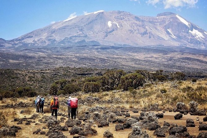 Mt.kilimanjaro Lemosho Route - Day 4: Barranco Wall and Karanga Camp