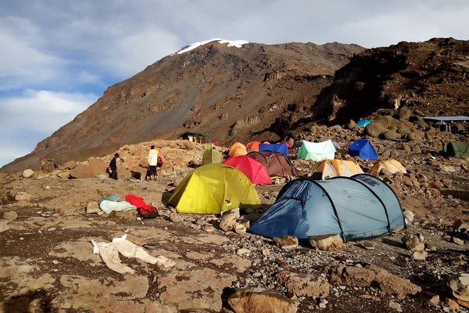 Mt.kilimanjaro Lemosho Route - Day 2: Shira 1, Shira 2, and the Lava Tower acclimatization hike