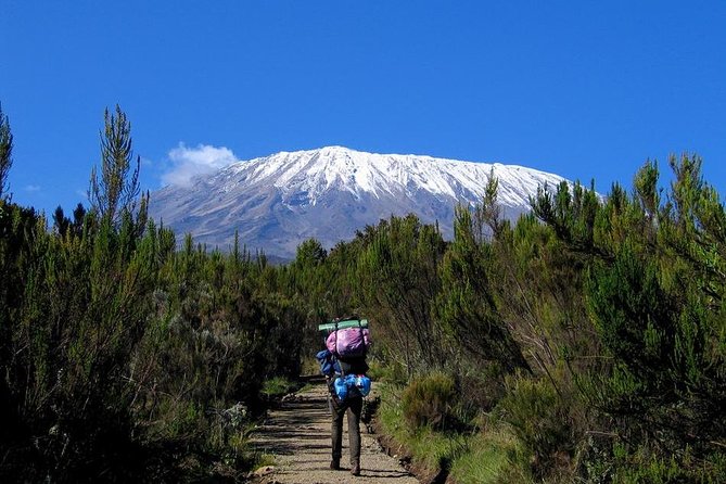 Mt.kilimanjaro-machame Route - Why the Machame Route works so well