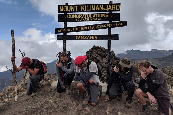 Mt. Kilimanjaro: Shira plateau to Cathedral point 3872m Day hike - Wildlife in the montane forest