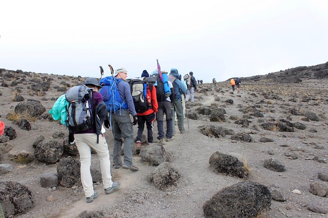 Mt Kilimanjaro Trek, 6 Days - Umbwe Route - Day four: Barafu Camp and the summit setup