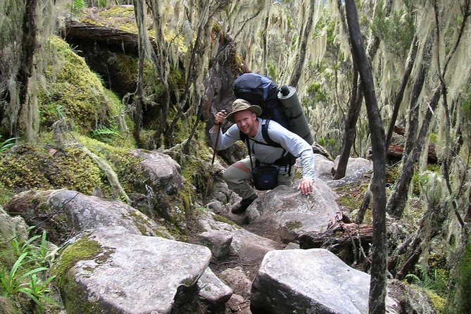 Mt Kilimanjaro Trek, 6 Days - Umbwe Route - Day five: Uhuru Peak and a huge descent