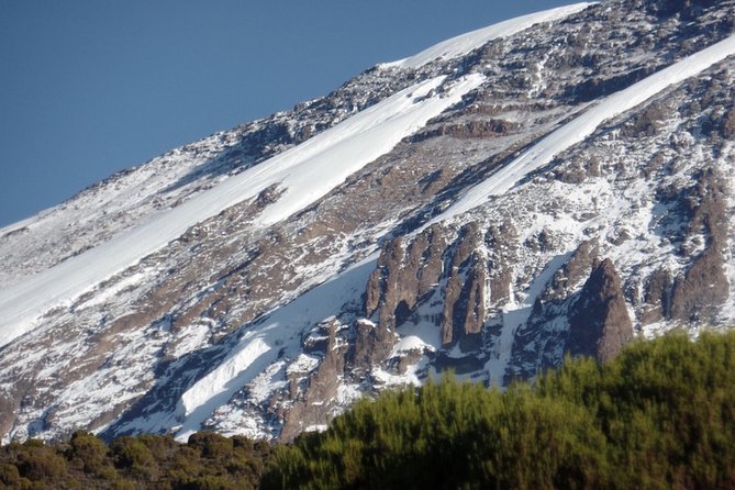 Mt Kilimanjaro Trek, 6 Days - Umbwe Route - Day six: Mweka Trail and the return to Moshi
