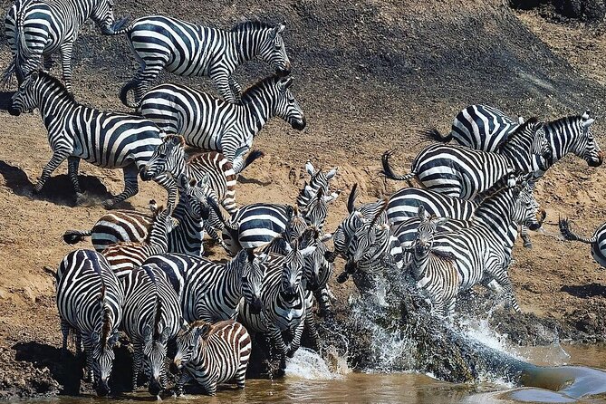 Multi-Day Camping Safari Experience in Arusha - Day 6: Lake Manyara and a final change of scenery