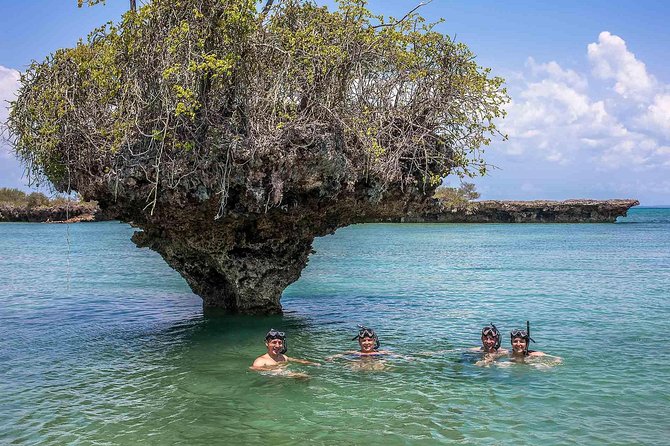 Nakupenda Island Snorkeling Sea trip & Lunch W/Transfer -Zanzibar - Is $48 a fair price?