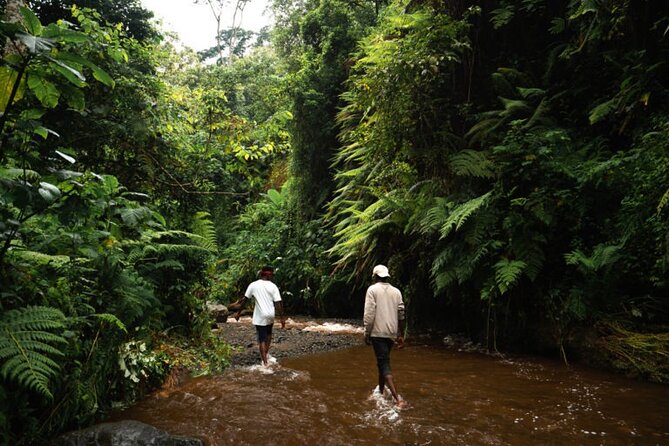 Napuru Waterfalls - The Waterfall Stop and Mount Meru Backdrop
