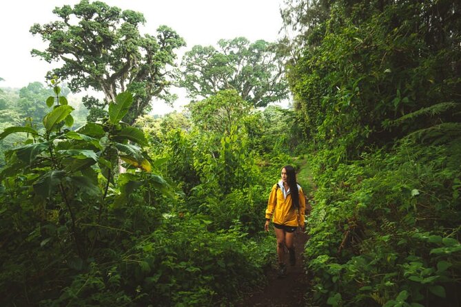 Napuru Waterfalls - Is $106 a Fair Price?