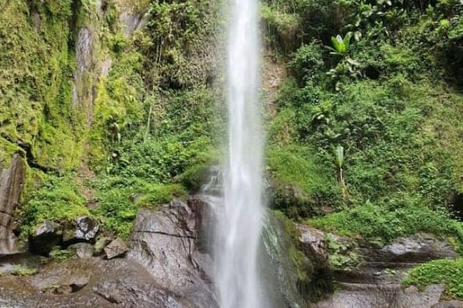 Napuru Waterfalls - Walking Through the Trail to the Falls