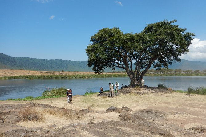Ngorongoro Adventure Day Tour from Arusha - Why Ngorongoro makes a strong one-day safari