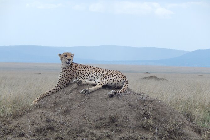 Ngorongoro Adventure Day Tour from Arusha - What the shared 4WD means for your day