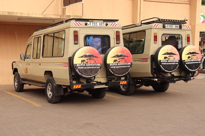 Ngorongoro Crater Day Trip - Why Ngorongoro Crater makes a powerful day safari