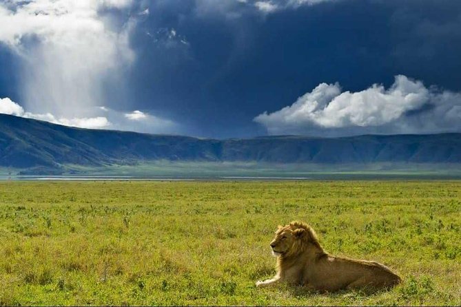 Ngorongoro Crater Day Trip - Entering Ngorongoro Crater